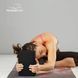 Блок для йоги Power Play 4006 Yoga Brick EVA 1 штука, Black CN11825 фото 2
