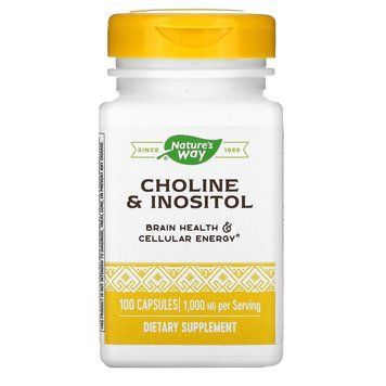 Холін та інозитол Nature's Way Choline & Inositol, 100 капсул для підтримки мозкової функції CN16178 фото